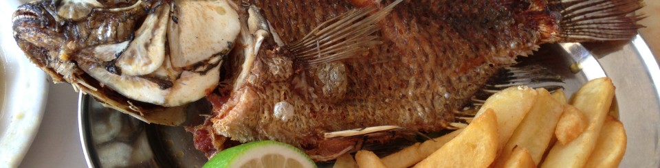 Gegrillter Petrusfisch in einem Restaurant am See Gennesaret