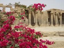 Isis-Tempel Philae, Foto: Marie-Luise Schrader