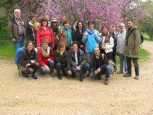 Unsere Reisegruppe vor einem blühenden Judasbaum (Cercis siliquastrum) in Neot Kedumim 