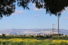 Einführungsreise auf der "Insel der Götter"  - Zypern